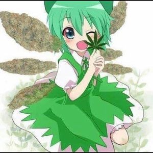 Meet your Posher, Maggie